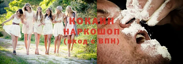 дживик Горняк